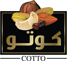 koto logo